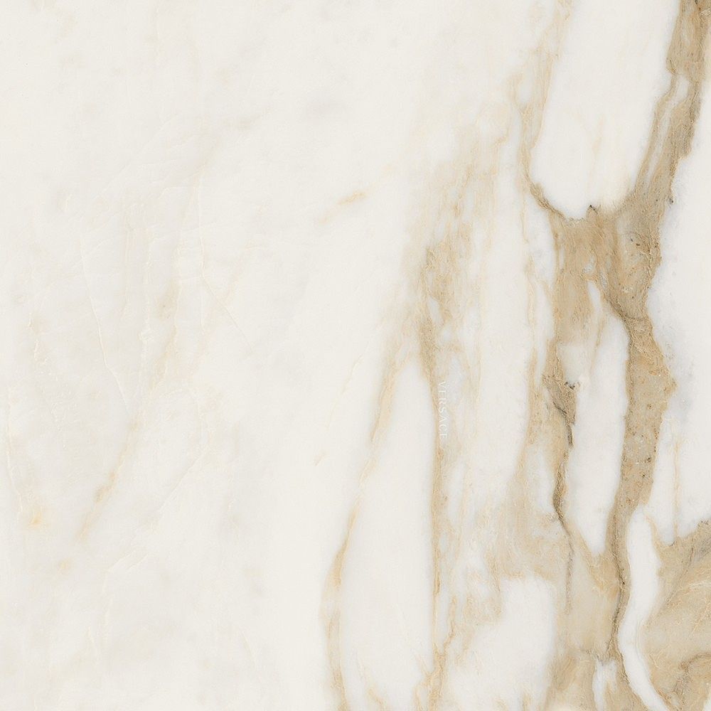 Керамогранит Versace Maximvs cal.bright nat r 60x60 G67632 фото