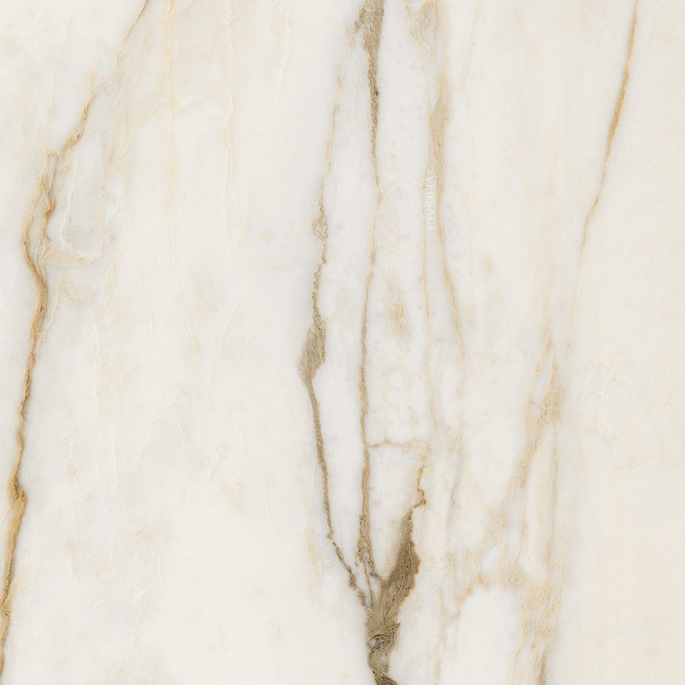 Керамогранит Versace Maximvs cal.bright nat r 60x60 G67632 фото