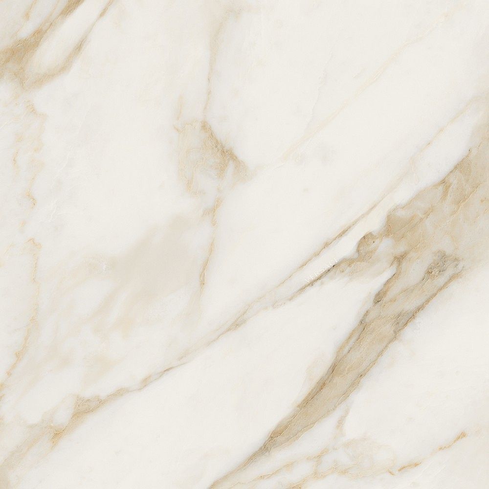 Керамогранит Versace Maximvs cal.bright nat r 60x60 G67632 фото