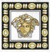 Керамограніт Versace Maximvs tozz dec luxr 8x8 G0067655 фото