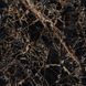 Керамограніт Versace Maximvs black&gold nat r 120x120 G67574 фото 1
