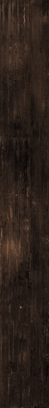 Керамограніт Versace Eterno brown 26,5x180 G0263001 фото