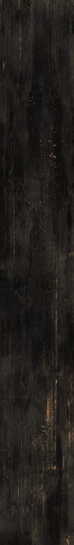Керамограніт Versace Eterno carbon 26,5x180 G0263000 фото