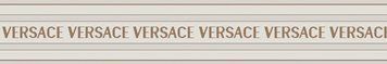 Керамограніт Versace Icons faslog whit re . 10x60 G0028351 фото