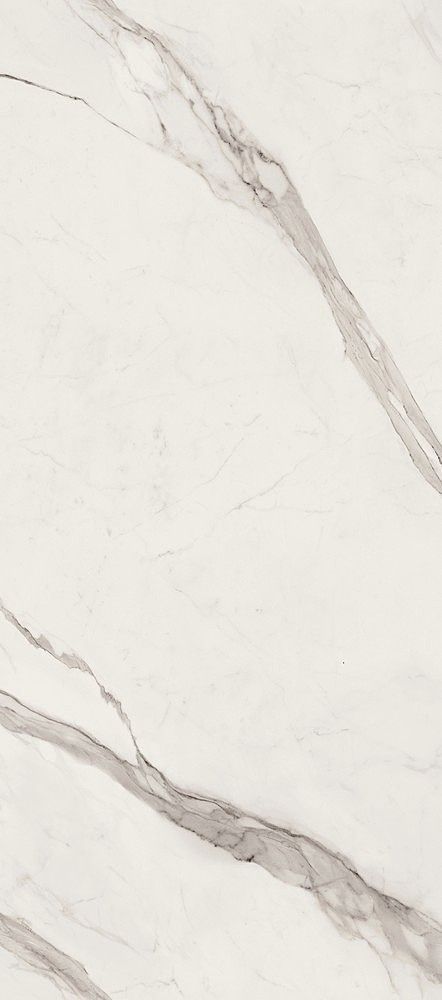 Керамогранит Versace Maximvs stat.white lux r 60x120 G67580 фото