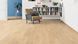 TRITTY 100 Oak Portland Puro 533122 фото 4