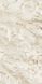Керамограніт Versace Maximvs ca.br.meg. lux r 60x120 G67592 фото 1
