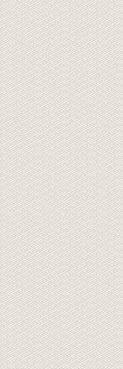 Керамогранит Versace La.gr.sign white nat r 20x60 PF60014059 фото