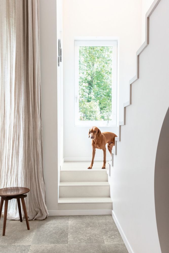 Ламінат Quick Step Muse 5485 Блакитний камінь сизий MUS5485 фото