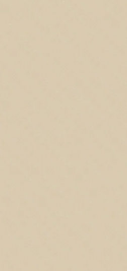 Керамограніт Versace Icons logo cream ret 60x120 G28312 фото