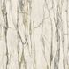 Керамогранит Versace Maximvs cala.green lux r 120x120 G67553 фото 1