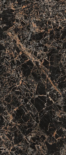 Керамограніт Versace Maximvs black&gold lux r 60x120 G67584 фото