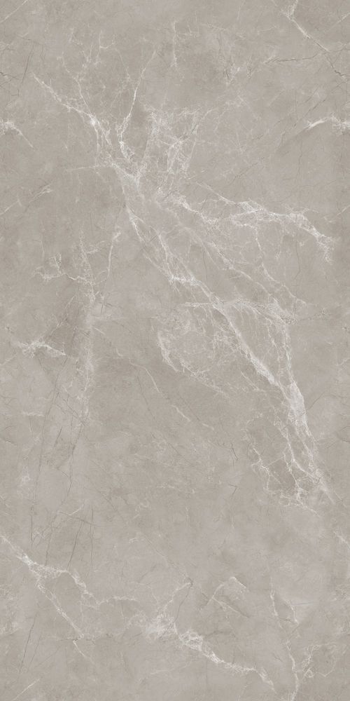 Керамогранит Alcora Tokyo Grey Endless 120x60 11014 фото