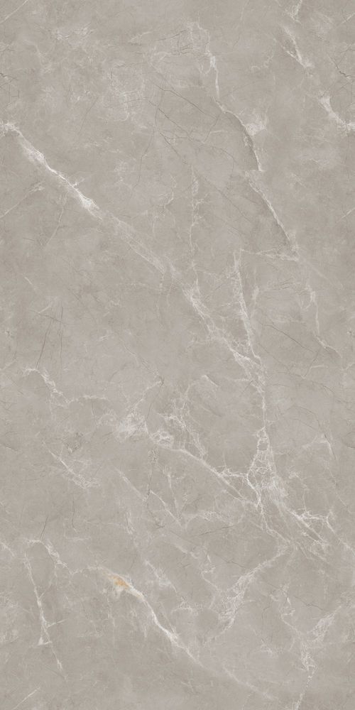Керамогранит Alcora Tokyo Grey Endless 120x60 11014 фото