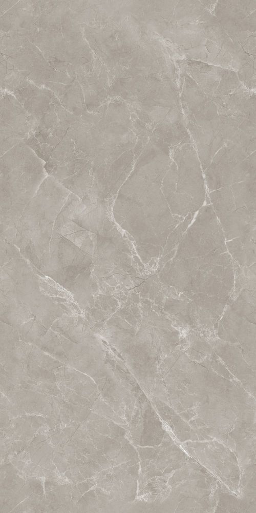 Керамогранит Alcora Tokyo Grey Endless 120x60 11014 фото