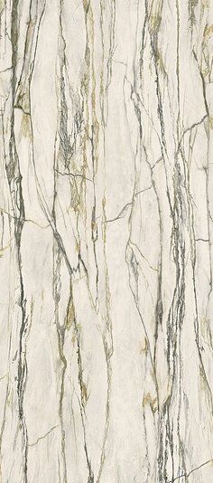 Керамограніт Versace Maximvs cala.green lux r 60x120 G67583 фото