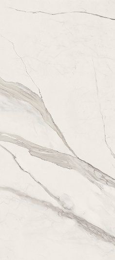 Керамограніт Versace Maximvs stat.white nat r 60x120 G67600 фото