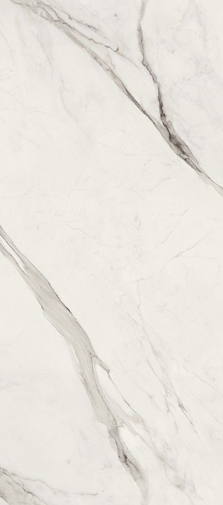 Керамогранит Versace Maximvs stat.white nat r 60x120 G67600 фото