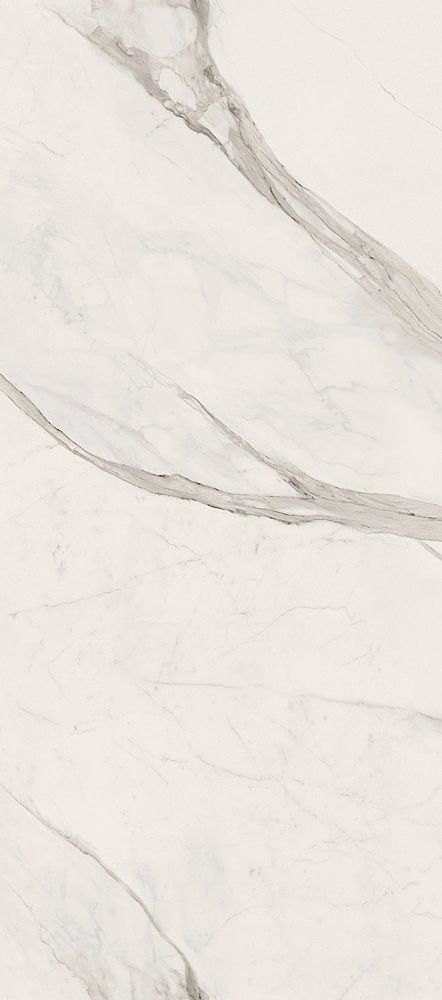Керамогранит Versace Maximvs stat.white nat r 60x120 G67600 фото