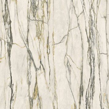 Керамограніт Versace Maximvs cala.green lux r 60x60 G67623 фото