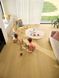 Ламинат Quick Step Impressive 8260 Дуб янтарь IM8260 фото 6